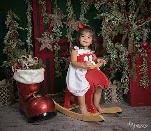 Navidad 2017-290