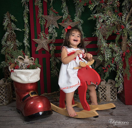 Navidad 2017-309