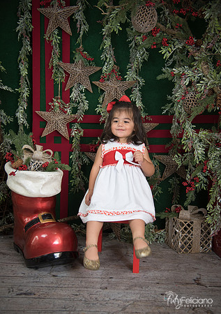Navidad 2017-148