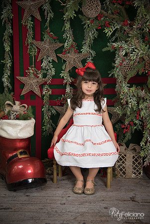 Navidad 2017-242