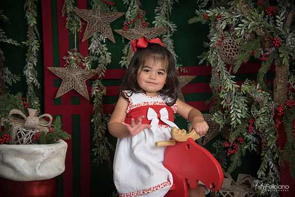 Navidad 2017-283