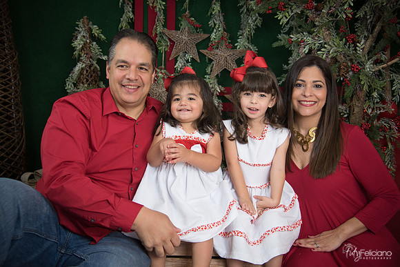 Navidad 2017-123