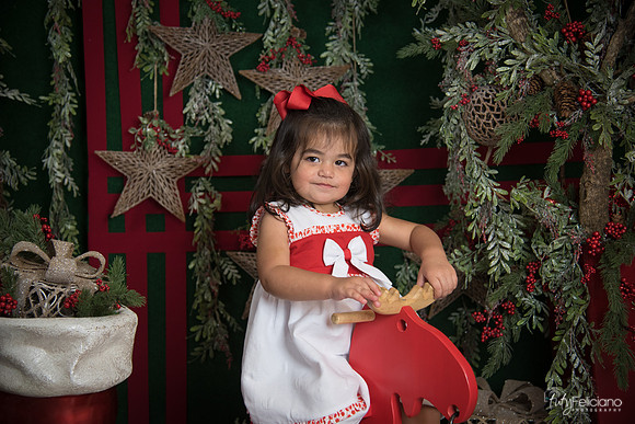 Navidad 2017-284