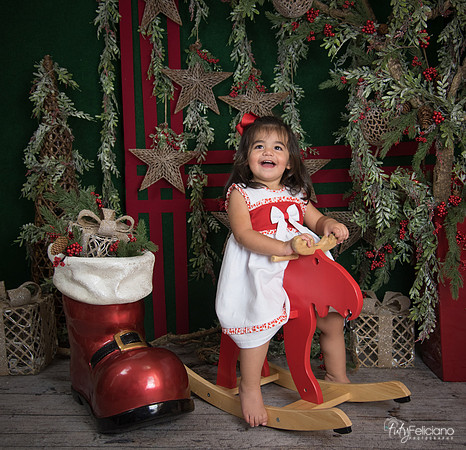 Navidad 2017-315