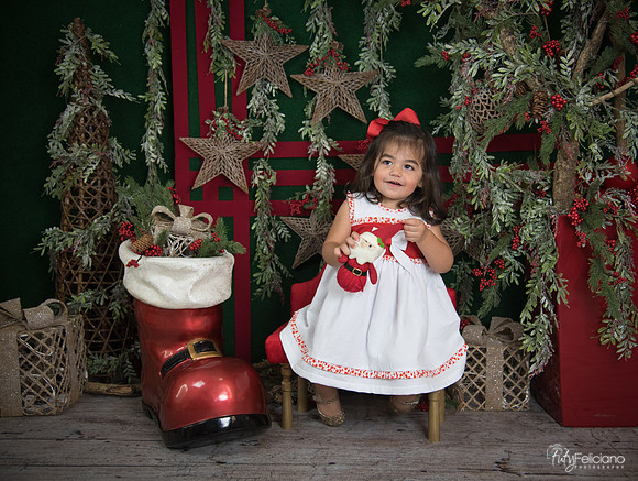 Navidad 2017-202