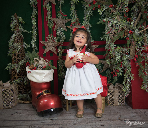 Navidad 2017-208
