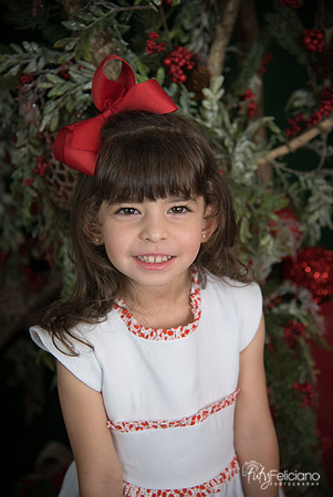 Navidad 2017-40