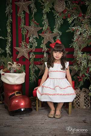 Navidad 2017-248