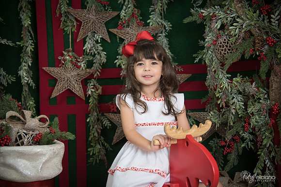 Navidad 2017-258