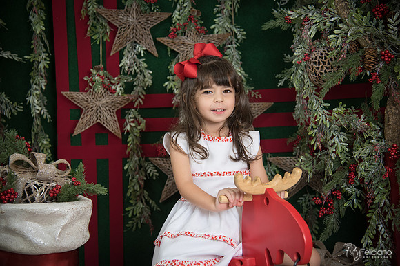 Navidad 2017-257