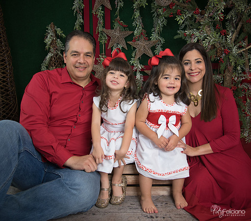 Navidad 2017-86