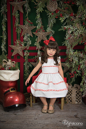 Navidad 2017-241