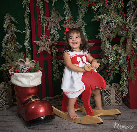 Navidad 2017-312