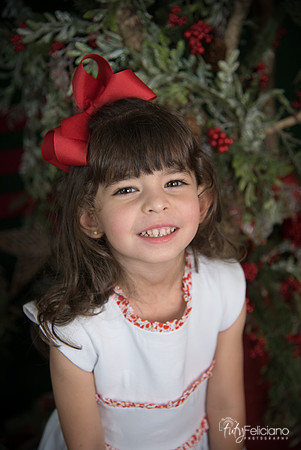 Navidad 2017-35