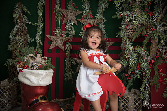 Navidad 2017-294