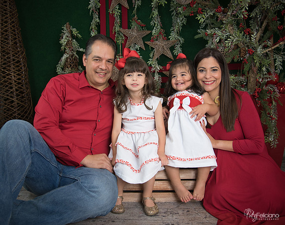 Navidad 2017-115