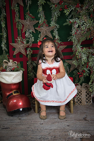 Navidad 2017-190
