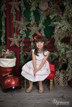 Navidad 2017-227