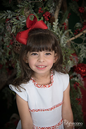 Navidad 2017-41