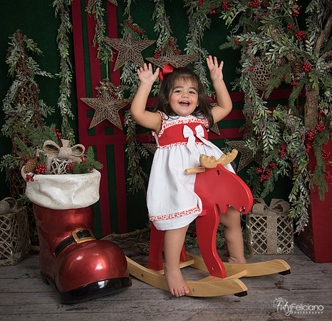 Navidad 2017-308