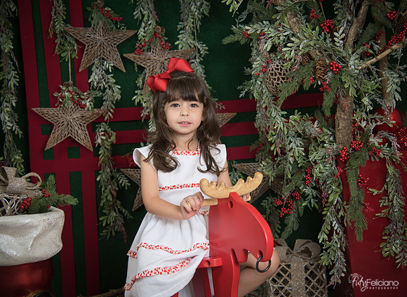Navidad 2017-270