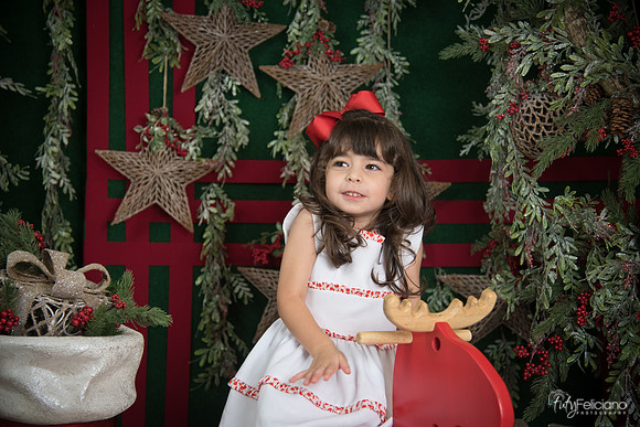 Navidad 2017-264