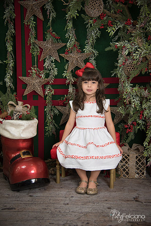 Navidad 2017-245