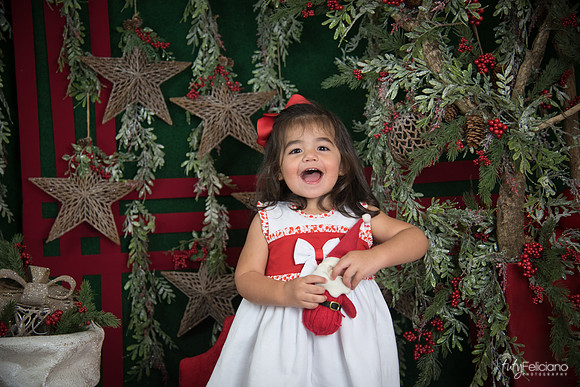 Navidad 2017-211