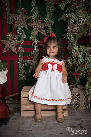 Navidad 2017-144