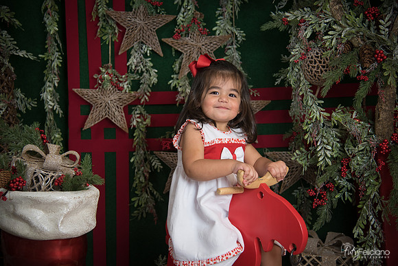 Navidad 2017-282