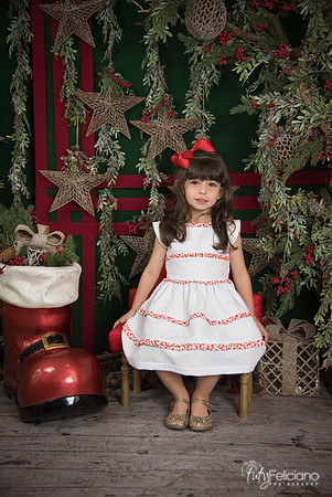 Navidad 2017-243