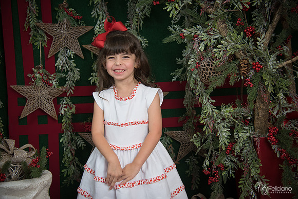 Navidad 2017-11