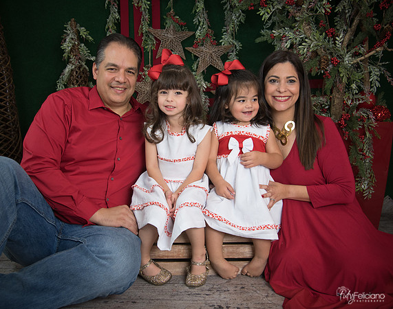 Navidad 2017-101
