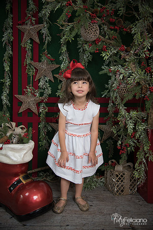 Navidad 2017-30