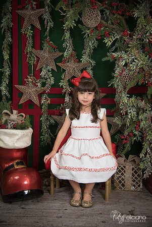 Navidad 2017-240