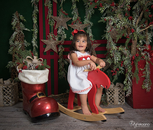 Navidad 2017-275