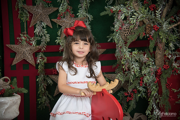 Navidad 2017-260