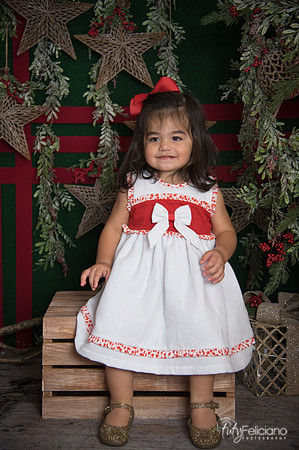 Navidad 2017-143