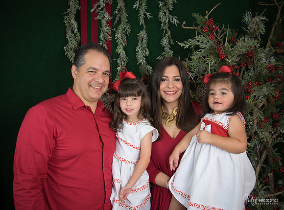 Navidad 2017-53