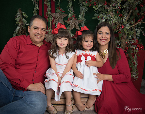 Navidad 2017-99