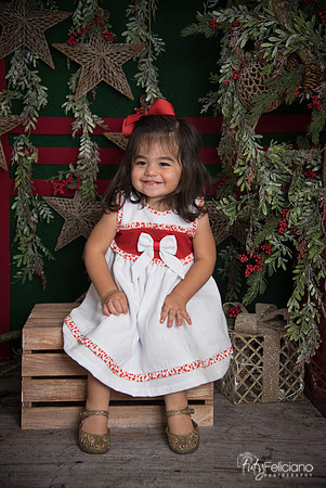 Navidad 2017-146