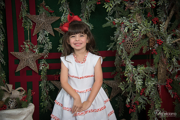 Navidad 2017-10