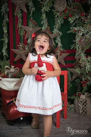 Navidad 2017-173