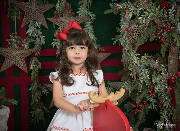Navidad 2017-268