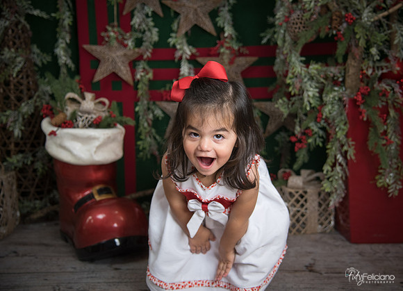 Navidad 2017-160