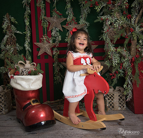 Navidad 2017-310