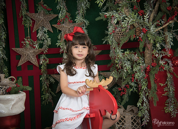 Navidad 2017-271