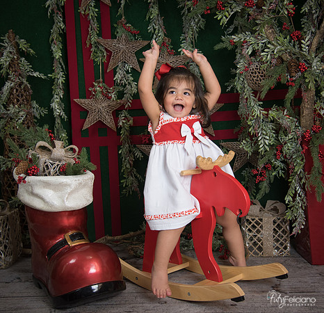 Navidad 2017-300