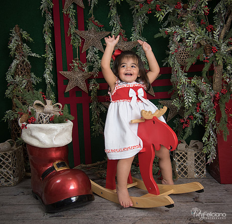 Navidad 2017-307