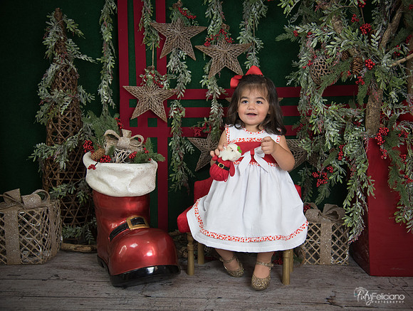Navidad 2017-201